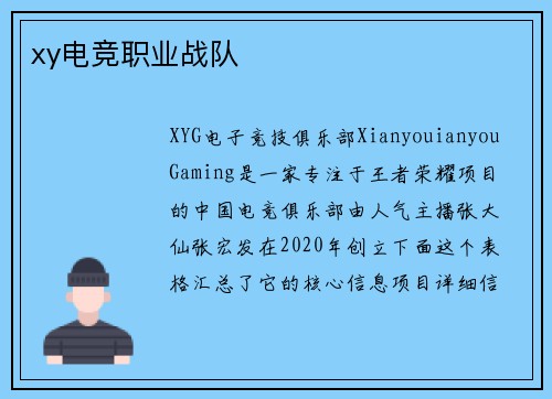 xy电竞职业战队